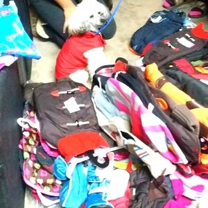 Tons of dog jackets and sweaters